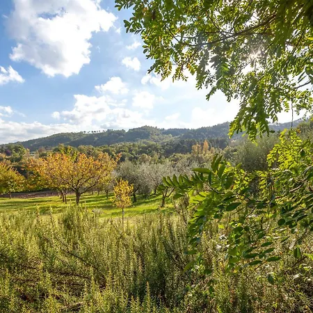 Anghiari -ar- 50 Casa vacanze Galbino